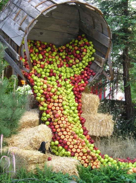 a wooden barrel filled with green apples on top of bales