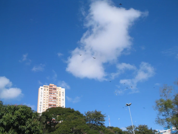 two birds in the air and the building in the background