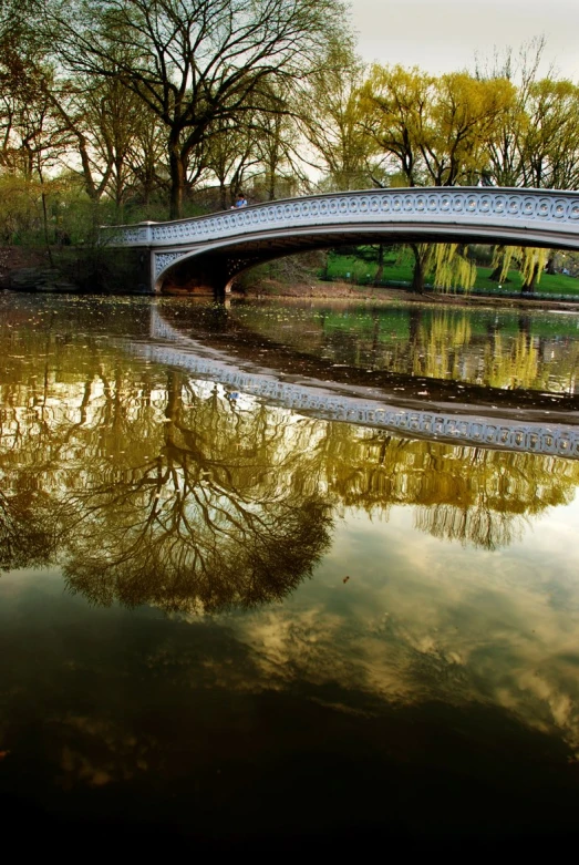 a bridge over a pond with trees in the background