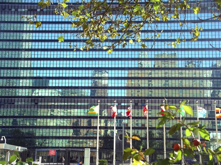 large modern buildings with glass windows reflecting flags on the street