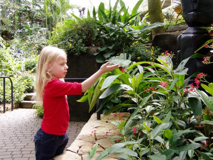 a  touches plants in an outdoor setting