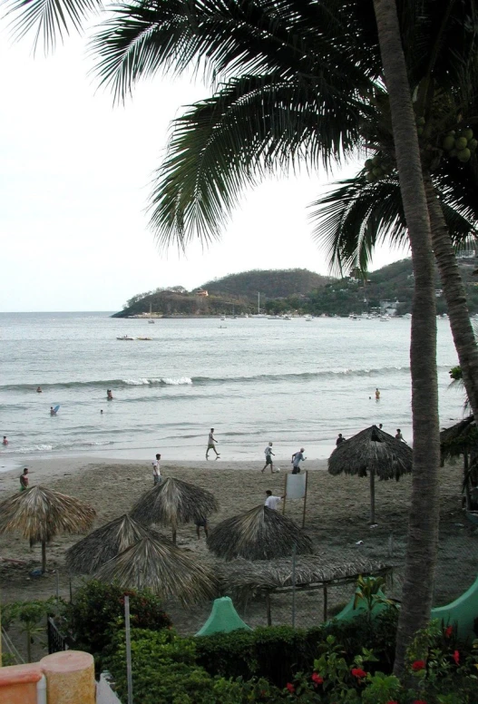 the beach has a lot of umbrellas and some people