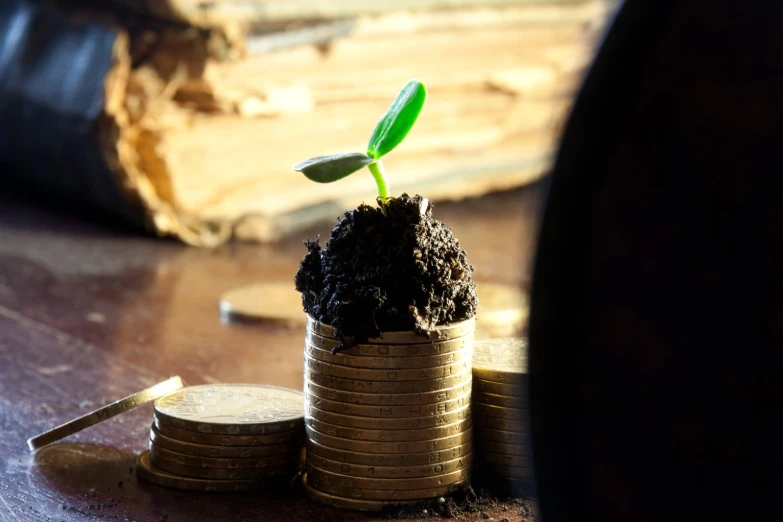 a sprout is sitting on top of stacks of coins