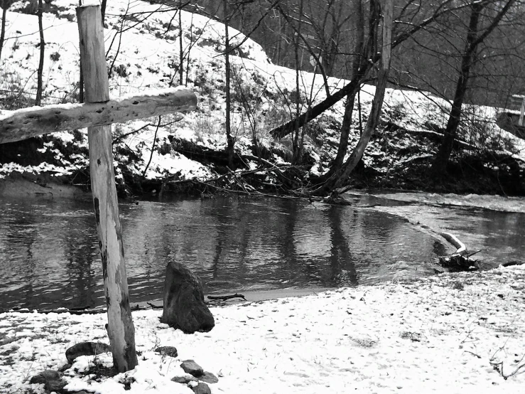 a small creek running through a wooded area