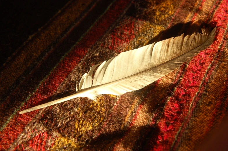 the feather is sitting on the blanket near the sun