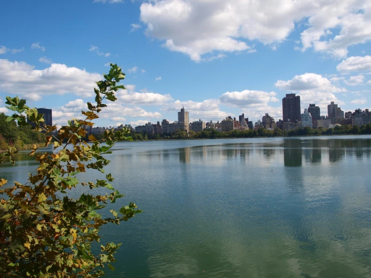 a body of water surrounded by trees and buildings