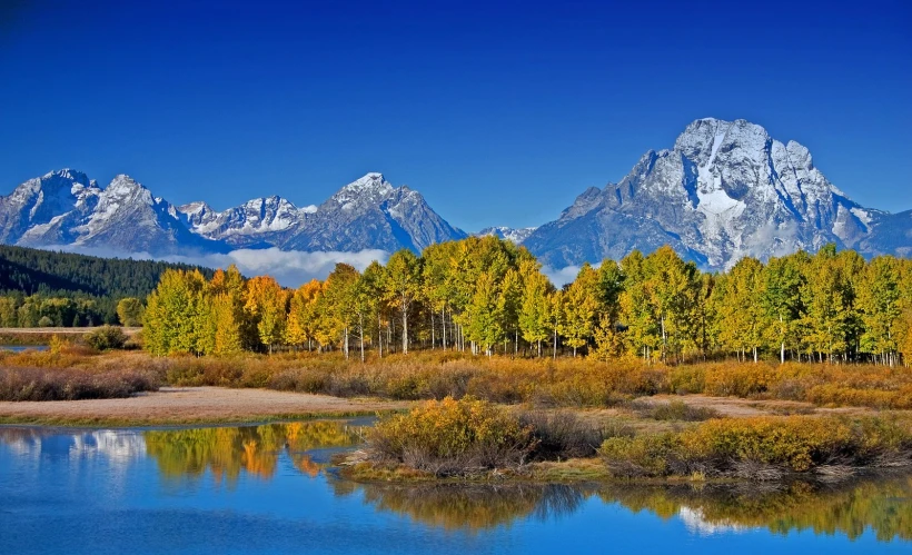 autumn foliage is growing in the foreground, as a river passes beneath mountains