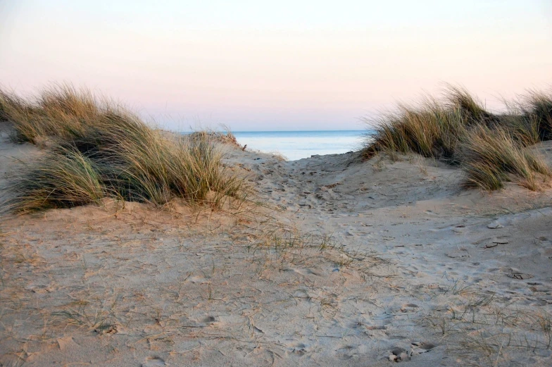 a brown path leading to the ocean on sand dunes