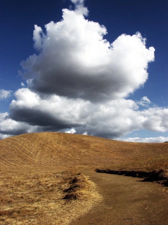 a big cloud above some brown grass and a dirt path