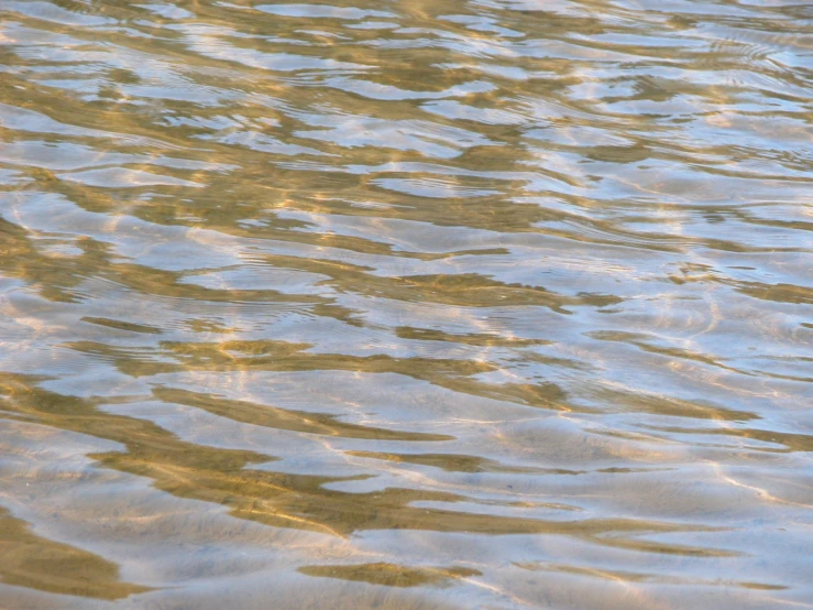 the surface of water in a small lake