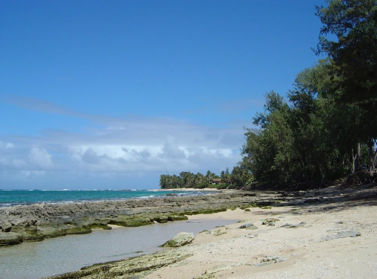 a large sandy beach surrounded by ocean vegetation