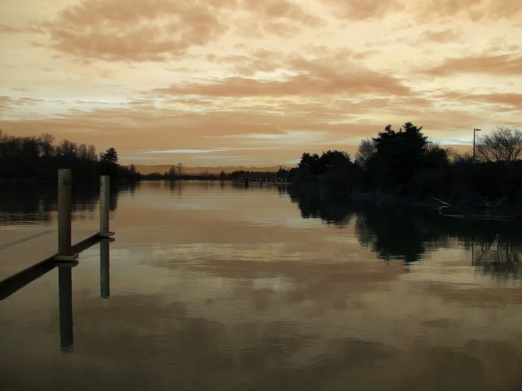 calm water near the dock with trees on it