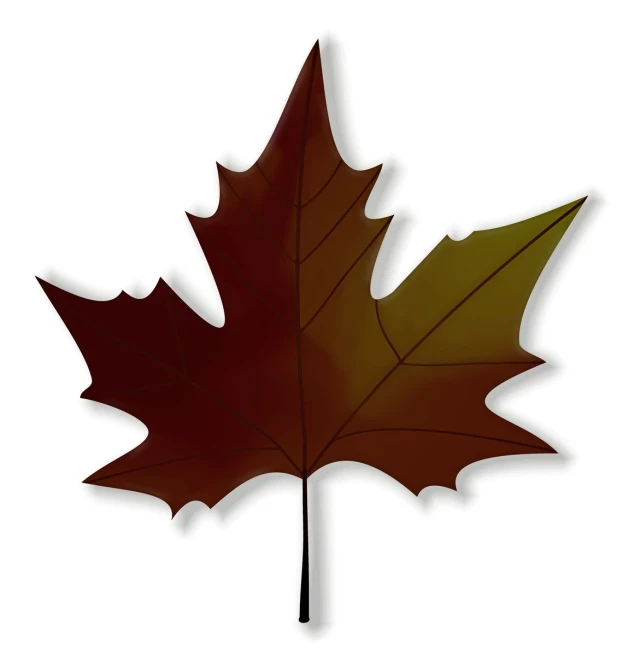 a brown maple leaf on a stick