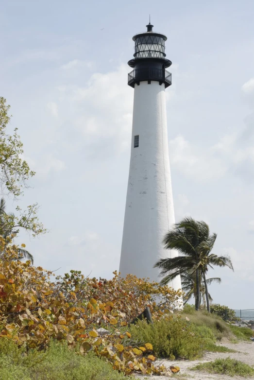 a lighthouse sits in the middle of a field