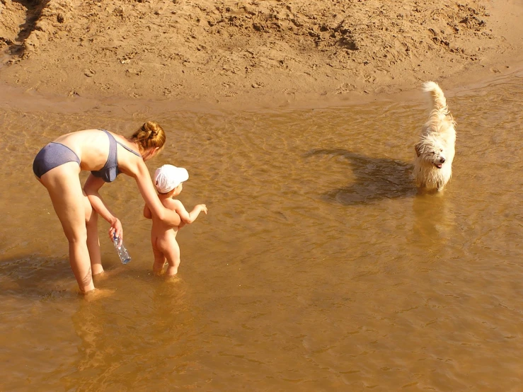 two women playing with a dog in a muddy dle