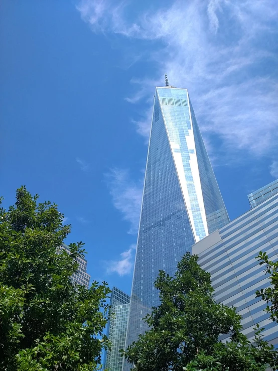 skyscrs in the background against a bright blue sky