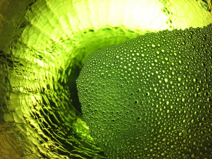 an abstract pograph of water droplets on a fruit and vegetables