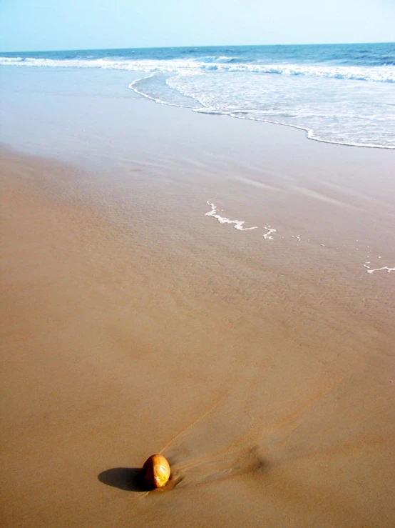 an orange apple on a beach with ocean waves coming in