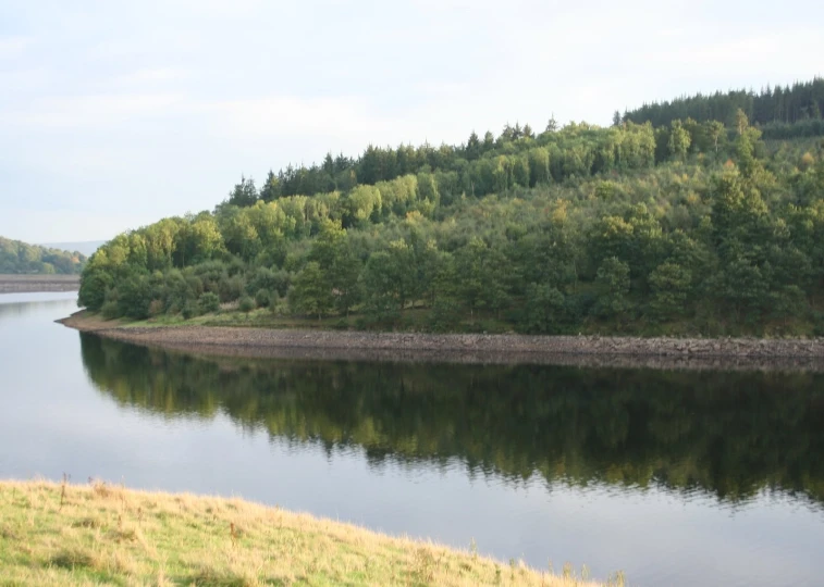 a field next to water near trees and grass