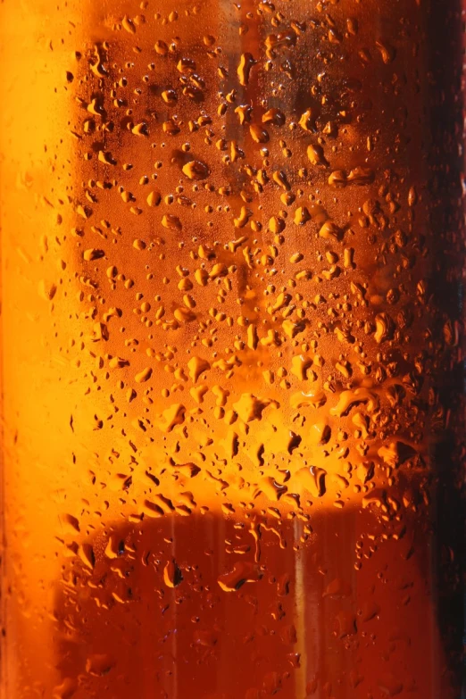 wet plastic soda bottle with orange and yellow background