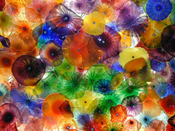 a series of glass flowers, each featuring multicolored petals