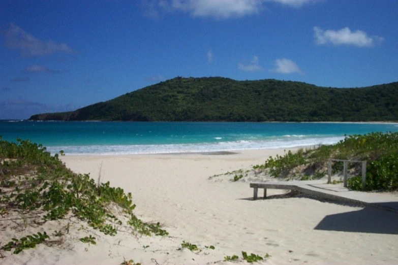 there is a wooden bench on the beach next to the ocean