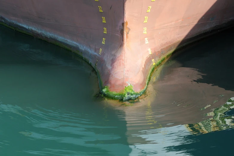 the side of a big ship with green algae growing on it
