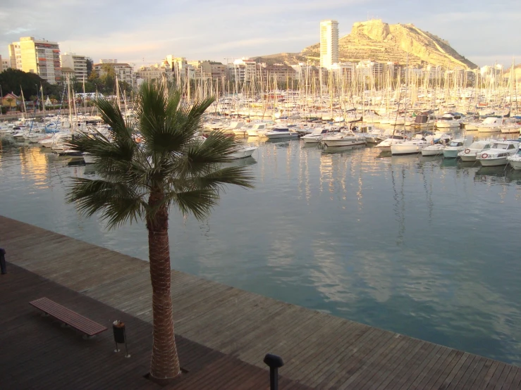 a group of boats are docked in a bay