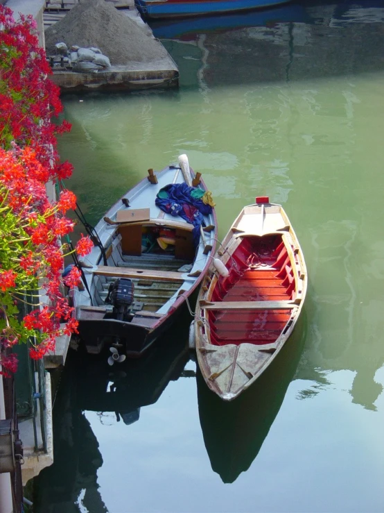 three boats docked at a pier with red flowers growing