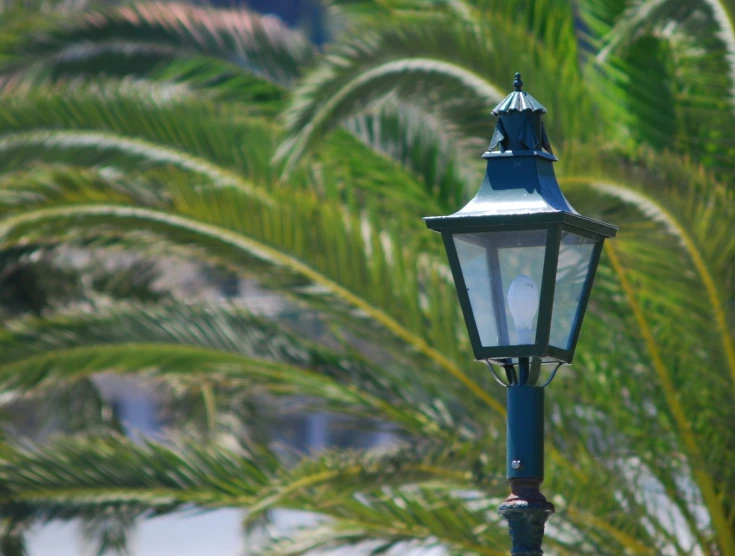 a blue lamp on a pole next to trees