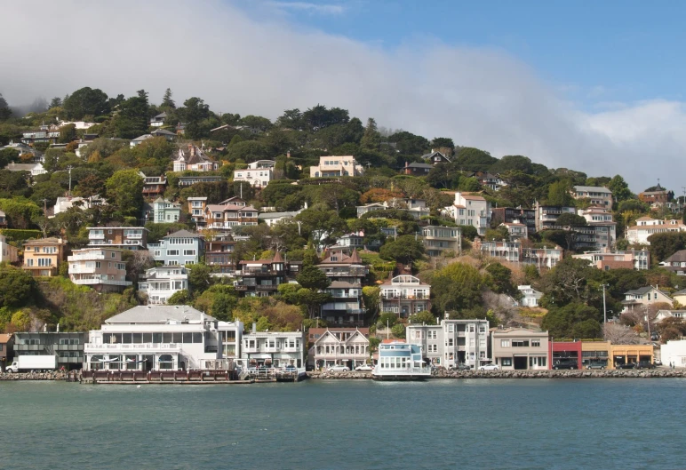 the ocean side houses are on a hill that is covered in trees