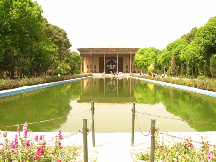 an area with water and various plants around it