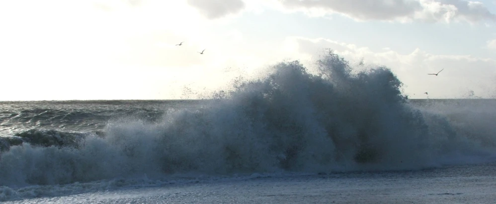 ocean crashing with waves near shore and birds flying above