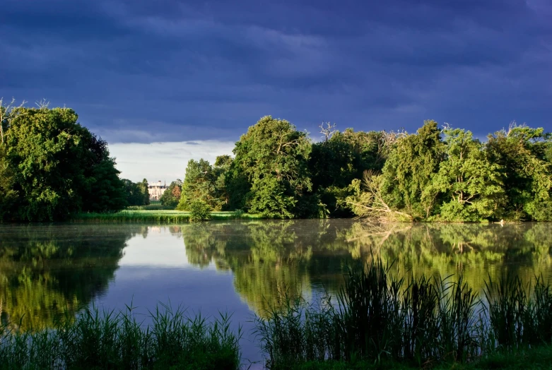 a lake surrounded by lots of green grass