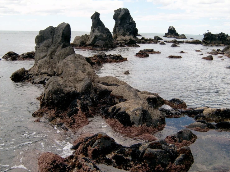 the rocks are covered with algae on a beach