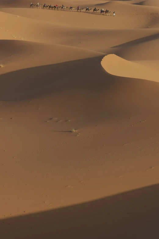 the group of people are riding their horses across the desert