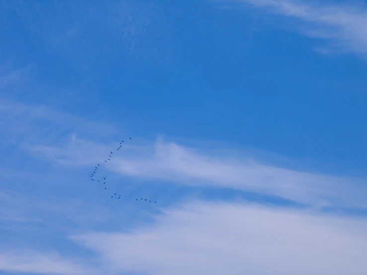 a flock of birds is flying across the sky