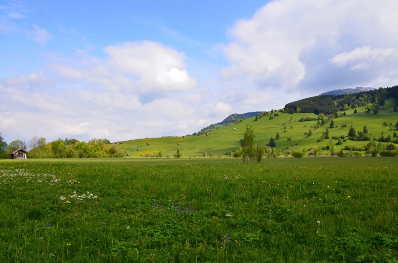 a meadow surrounded by green grass and mountains