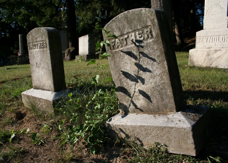 there are headstones on the grass near a grave