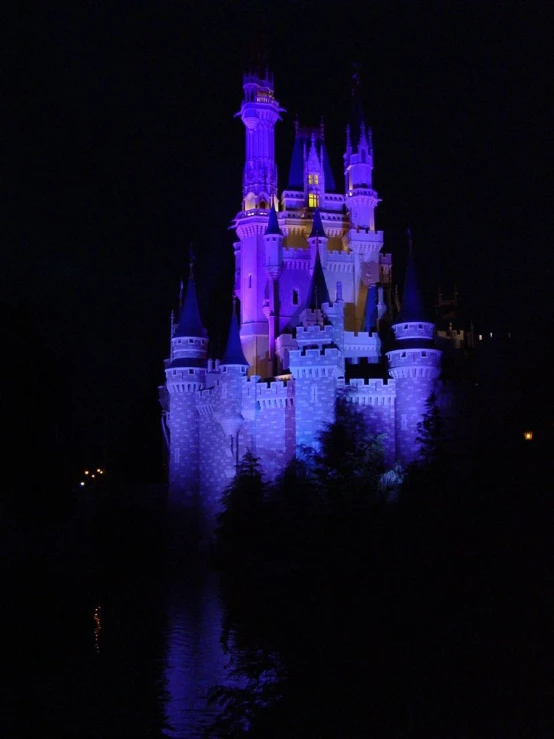a castle lit up at night with lights in the dark