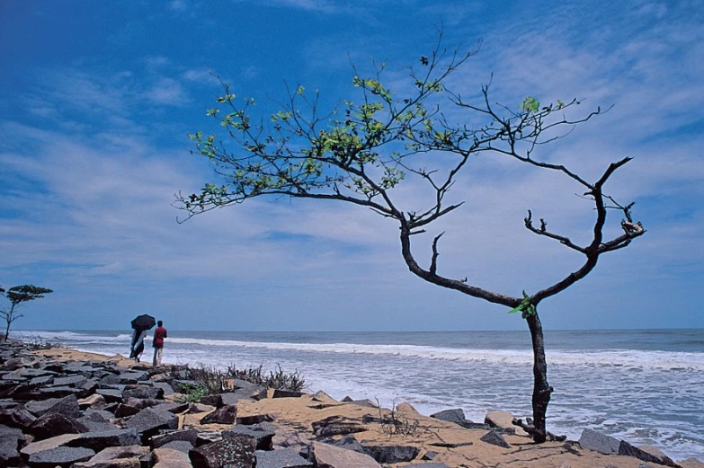 the two people are walking along the ocean shore