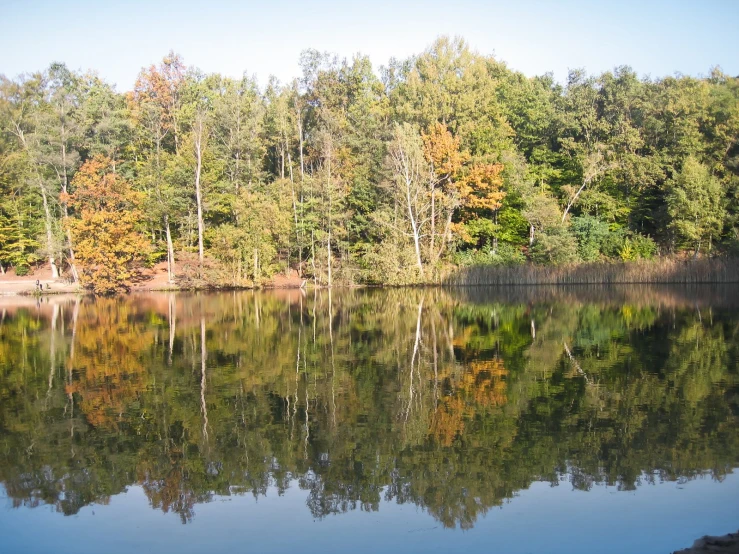 a view of a lake with many trees all around it