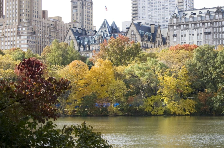 the park with trees changing colors in autumn