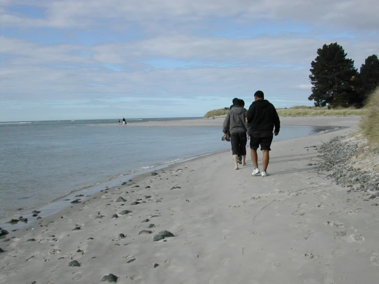 a man and woman walking down the beach with their dog