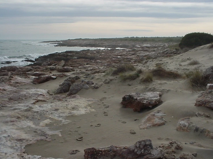 the ocean is next to the sandy beach