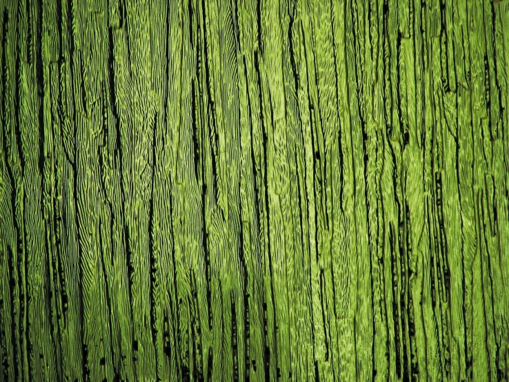 green wood is being used as a backdrop for a wall