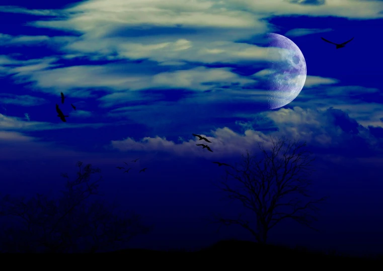 the bird are flying in front of the moon and clouds