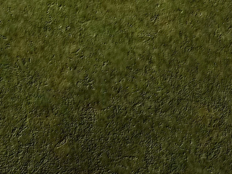 an empty bench on a green field with grass