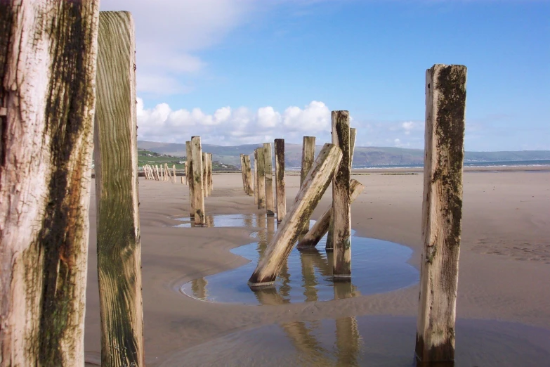 several posts sticking out from the water on a beach