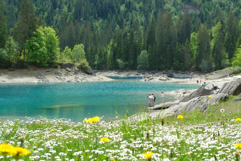 people are on the shore in a river surrounded by trees and white flowers